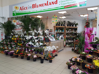 Alice im Blumenland