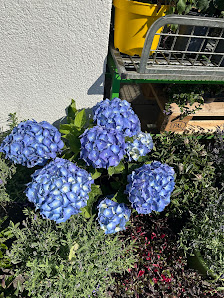 BLUMENHAUS BEDBURG