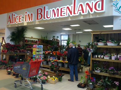 Alice im Blumenland