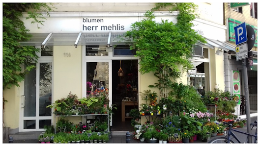 blumen herr mehlis GmbH
