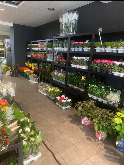 World of Flowers