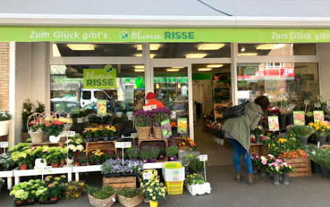Blumen Risse Blumenladen Köln-Sülz