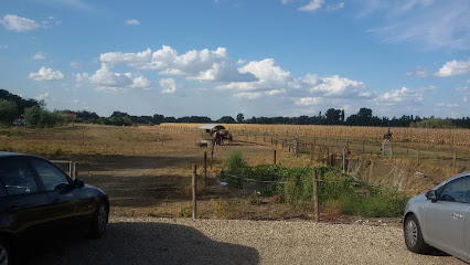Garten- und Landschaftsbau Frey GmbH