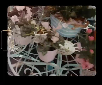 Gärtnerei van der Bloemen