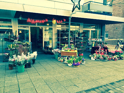 Blumen Spangenberg Neukirchen-Vluyn