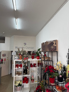 Blumen Osman Vochem