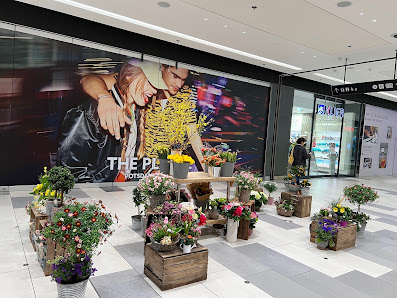 Floristikzauber Blumen & Geschenkartikel