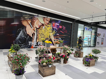 Floristikzauber Blumen & Geschenkartikel
