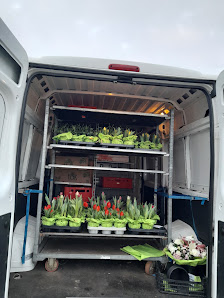 Blumen Jäger GmbH