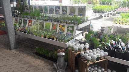 Blumen Risse Blumenmarkt Dormagen