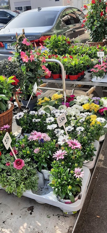 Blumengeschäft