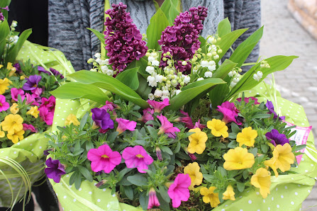 Blumen Grütters