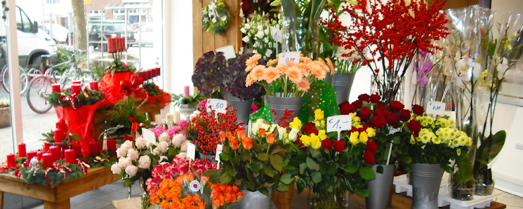 Blumen Schleeberger Willich