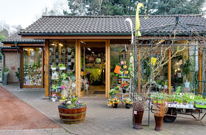 Blumen. Neuenhaus