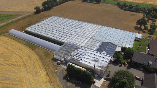 Gartenbau den Drijver
