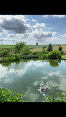 Pfingstrosen-Paradies