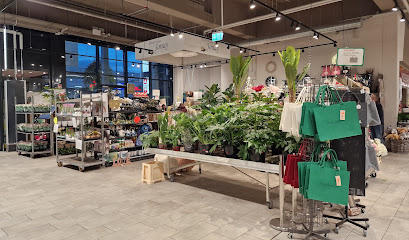 Blumenhaus Jonas GmbH