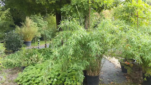 Garten begeistert – Gesellschaft für Gartengestaltung und Beratung mbH