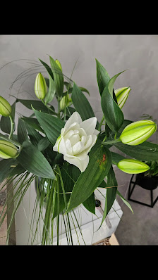 Blumen Matthias Dreesen