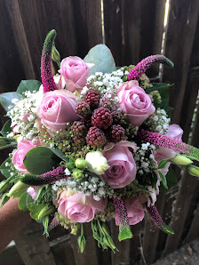 Blumen Kamp