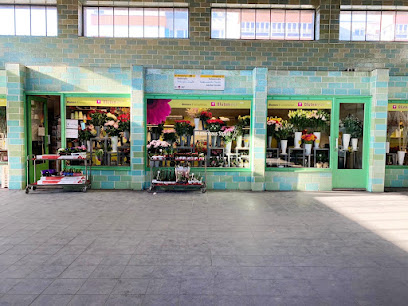 Blumenhaus-Strauß Gesundbrunnen