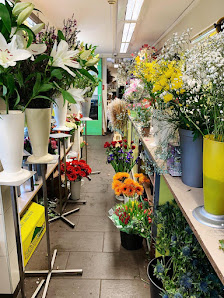 Blumenhaus-Strauß Gesundbrunnen