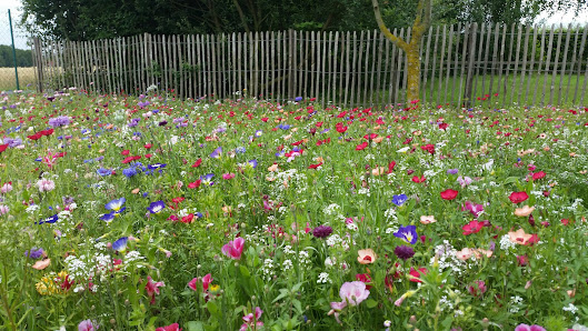 Esser Garten | Galabauer Meisterbetrieb in Eschweiler