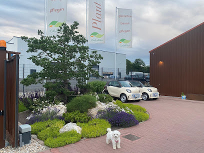 Plant GaLaBau GmbH