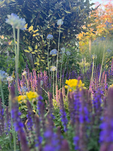 Garten- und Landschaftsbau Tobias Adams