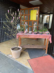 Blumen Assenmacher