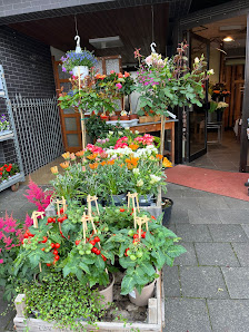 Blumen Assenmacher