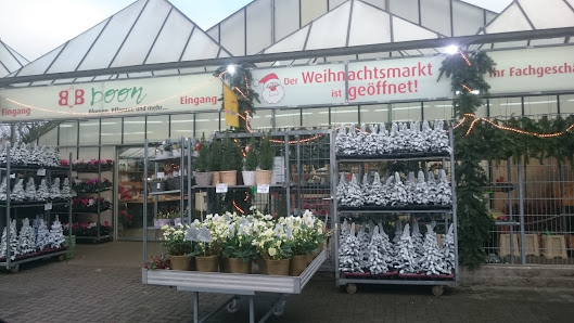Blumen Boon