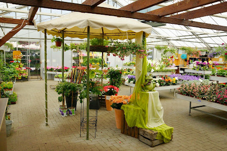 Blumen Boon