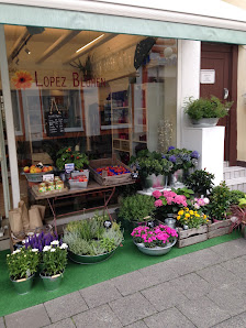Lopez Blumen