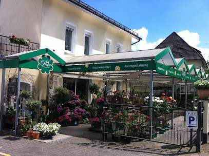 Blütenzauber Pace