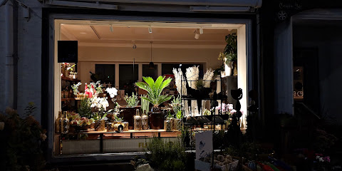 Blumenkörbchen Elspe Theile-Rasche