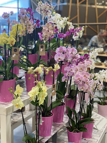 Blumengeschäft