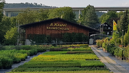 Kewel Baumschulen