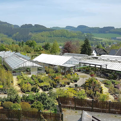 Eslohe (Sauerland)