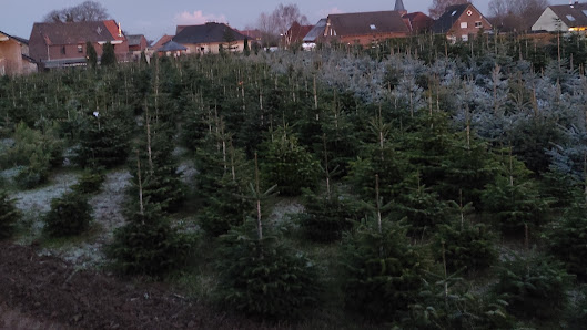 Gartenbau Königs