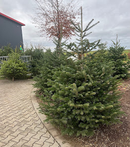 Gartenbau Königs