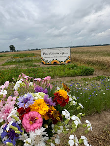 Pia‘s Blumenfeld
