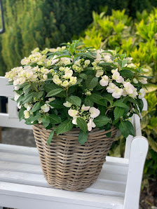 Et Blömche Blumen & mehr