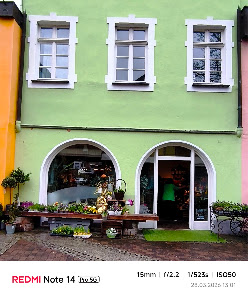 Blumenhaus Alpenveilchen