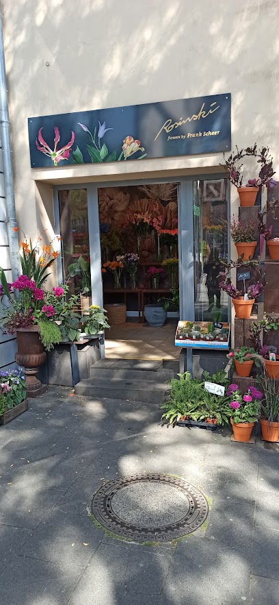 Blumen Rosinski