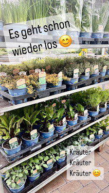 Blumencenter und Gärtnerei van Paridon GbR