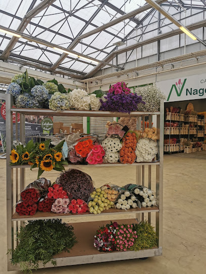 Landgard Cash & Carry Werl