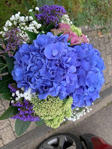 Die Blume Sabine Hartmann
