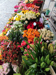 Rosen Bähr - Blumenstand Gengenbach