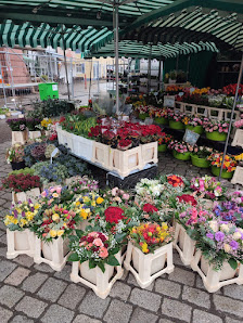 Rosen Bähr - Blumenstand Gengenbach